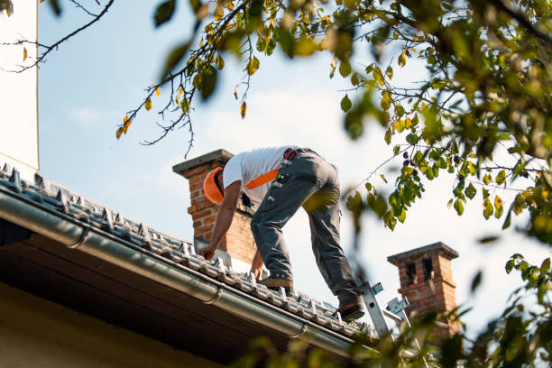 Best Roof Waterproofing Services  in Parshall, ND