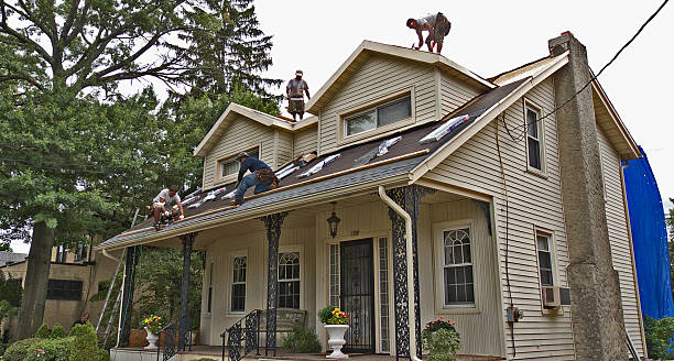 Best New Roof Installation  in Parshall, ND