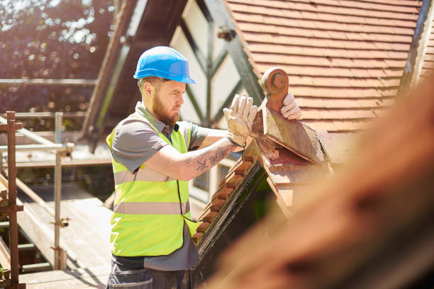 Best Roof Maintenance Services  in Parshall, ND